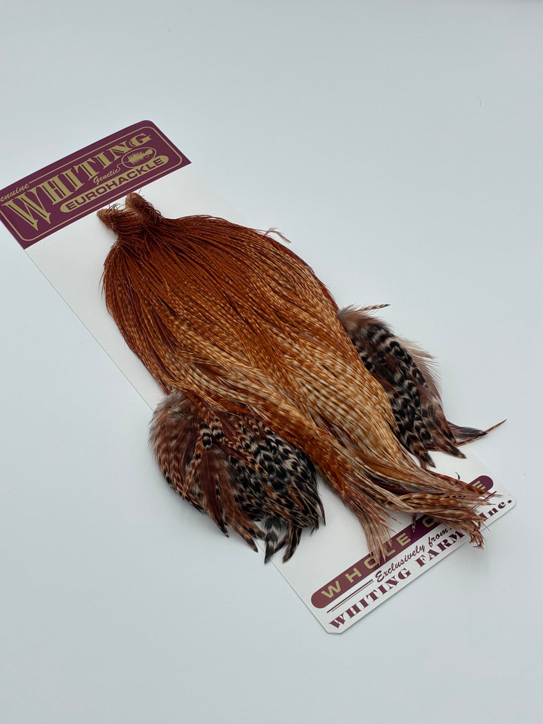 Whiting Eurohackle Cape