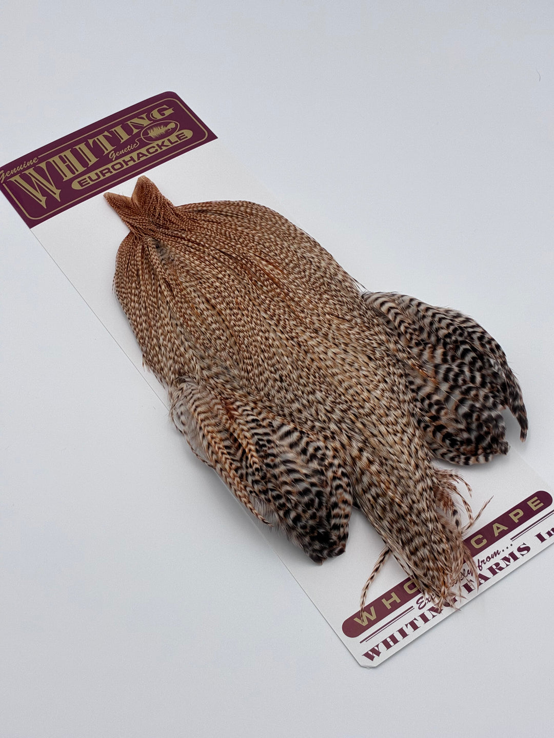 Whiting Eurohackle Cape