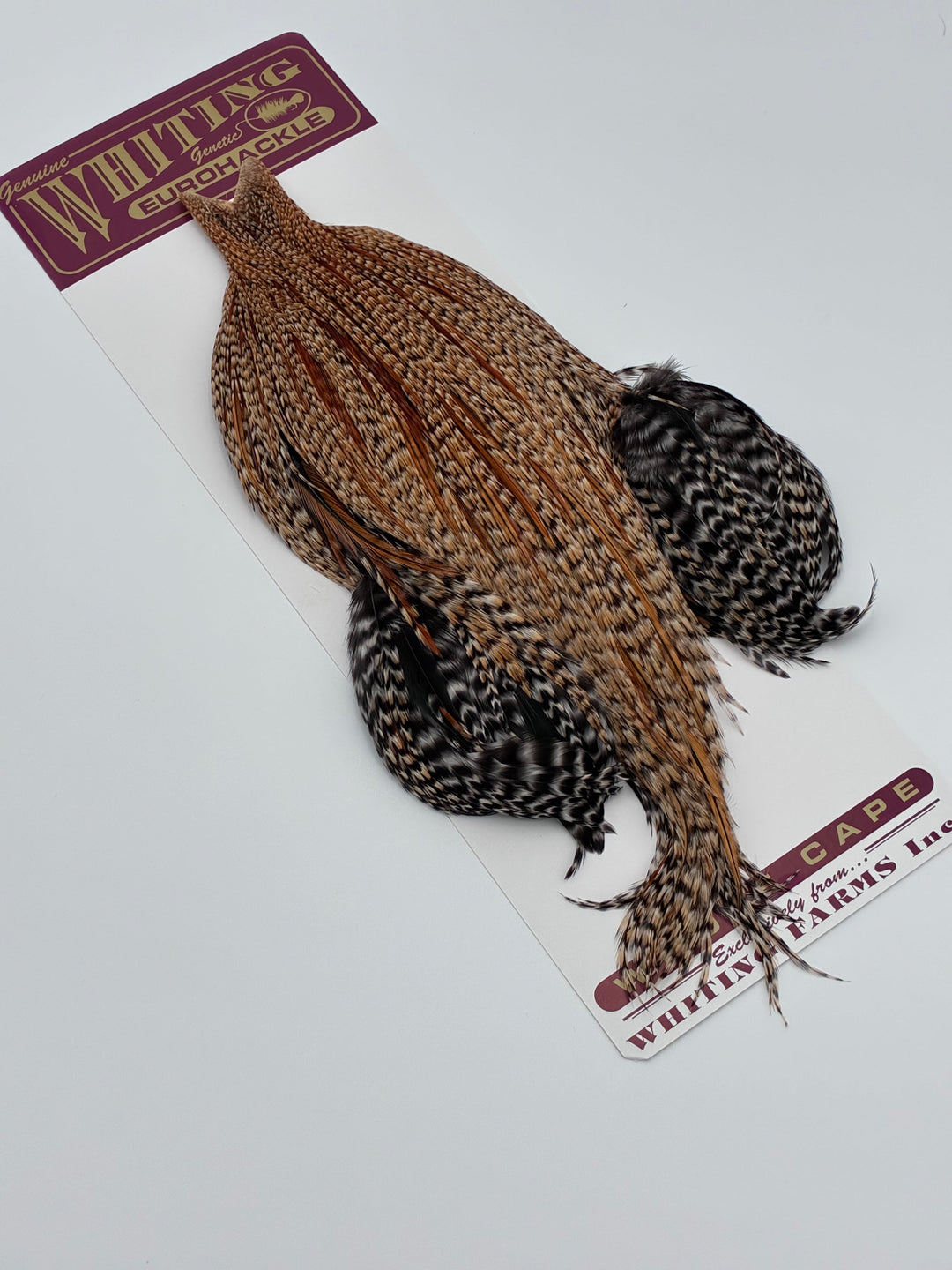 Whiting Eurohackle Cape