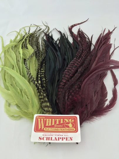 Schlappen Bundle 10