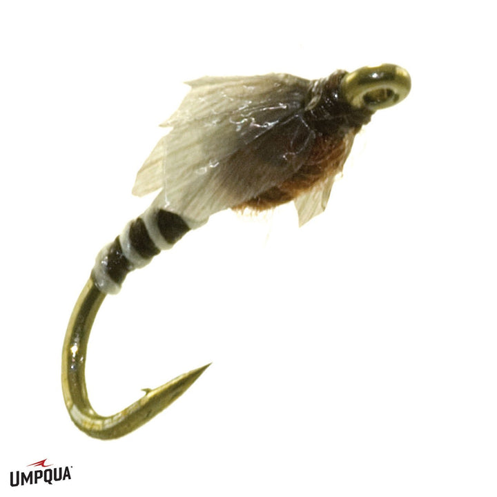 Medallion Midge Pupa - Flies - Fly Fish Food
