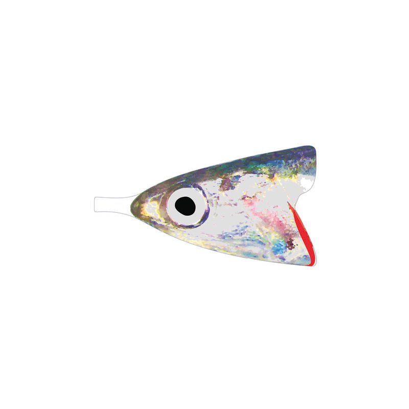 Pro Anchovy Foils - Tube Fly Materials - Fly Fish Food