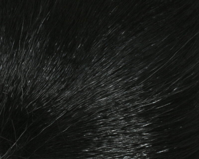 Petite Bucktail - Hair &amp; Fur - Fly Fish Food