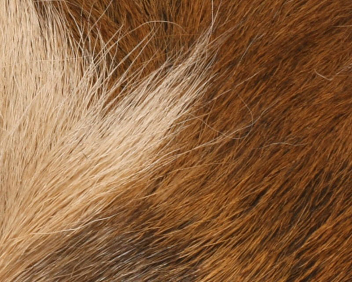 Petite Bucktail - Hair &amp; Fur - Fly Fish Food