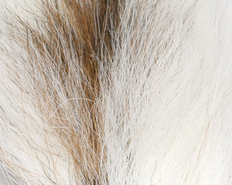 Petite Bucktail - Hair &amp; Fur - Fly Fish Food