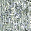 Textreme Brill Card UV Large - Chenille - Fly Fish Food