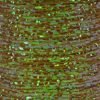 Textreme Body Fly Pearl - Misc. Synthetics - Fly Fish Food