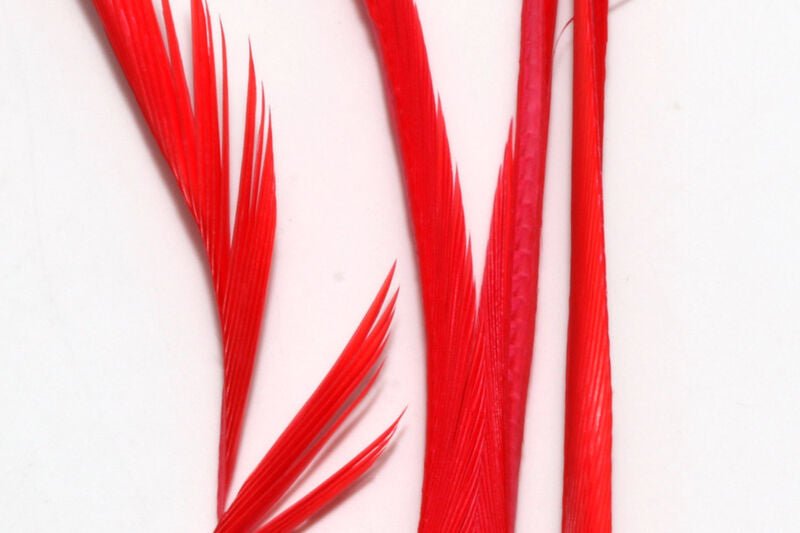 Stripped Goose Biots - Feathers & Marabou - Fly Fish Food