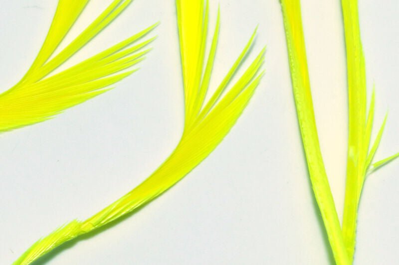 Stripped Goose Biots - Feathers & Marabou - Fly Fish Food