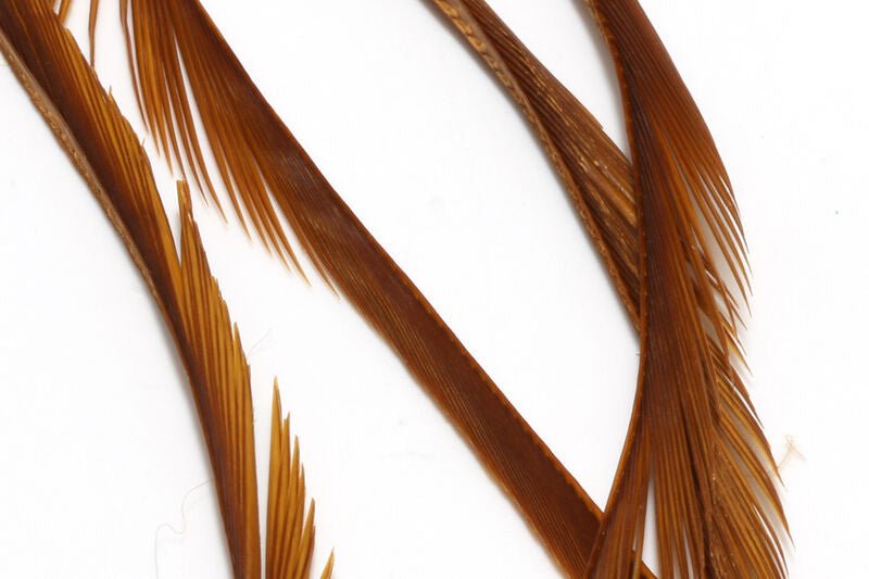Stripped Goose Biots - Feathers & Marabou - Fly Fish Food