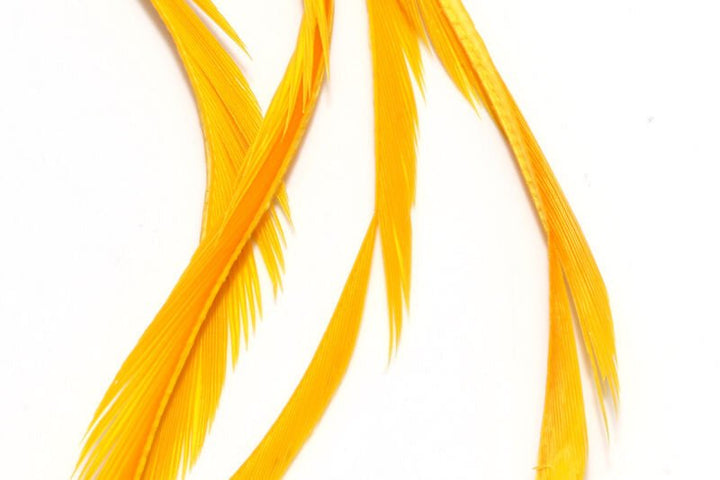 Stripped Goose Biots - Feathers &amp; Marabou - Fly Fish Food