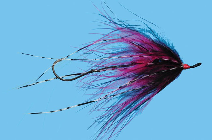 Hoh Bo Spey - Cherise/Black - Flies - Fly Fish Food