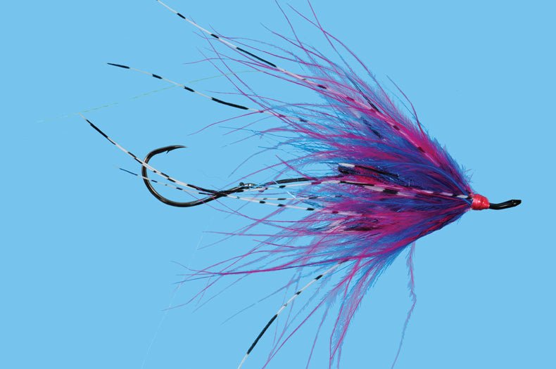 Hoh Bo Spey - Cherise/Blue - Flies - Fly Fish Food