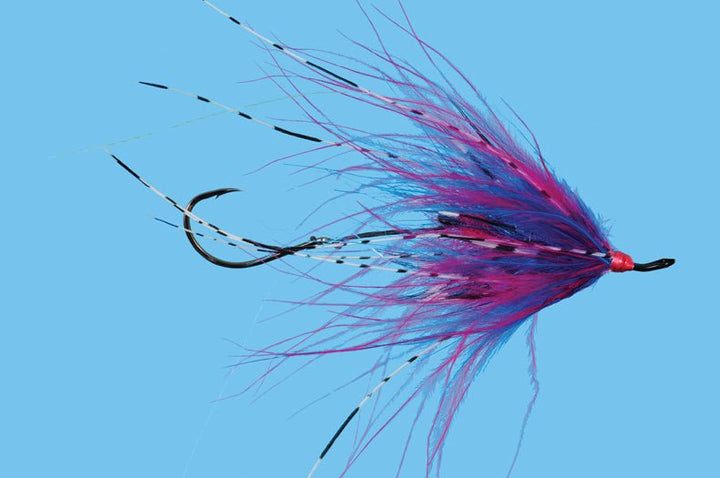 Hoh Bo Spey - Cherise/Blue - Flies - Fly Fish Food