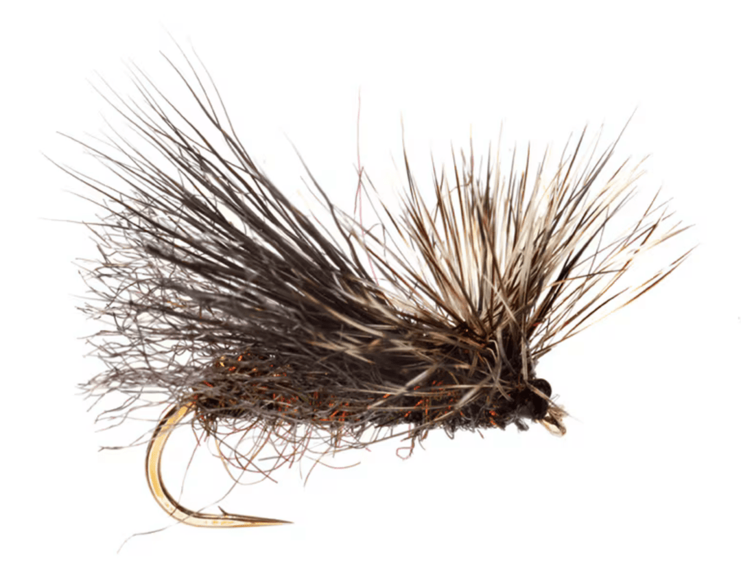 Hackle Stacker Caddis - Peacock - Flies - Fly Fish Food