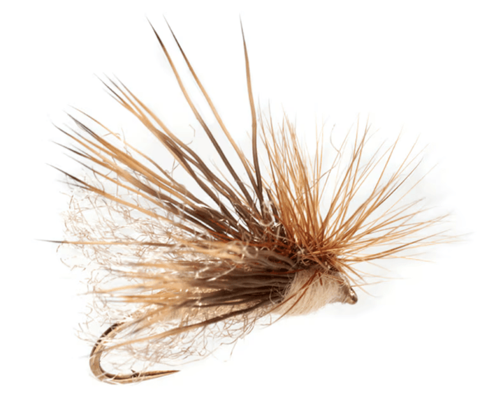 Hackle Stacker Caddis - Tan - Flies - Fly Fish Food