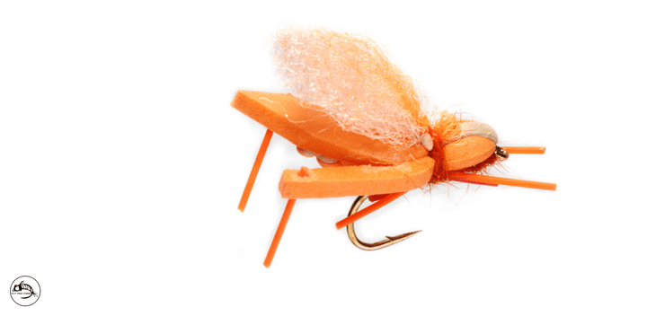 Hoptimus Prime - Indicator Orange - Flies - Fly Fish Food