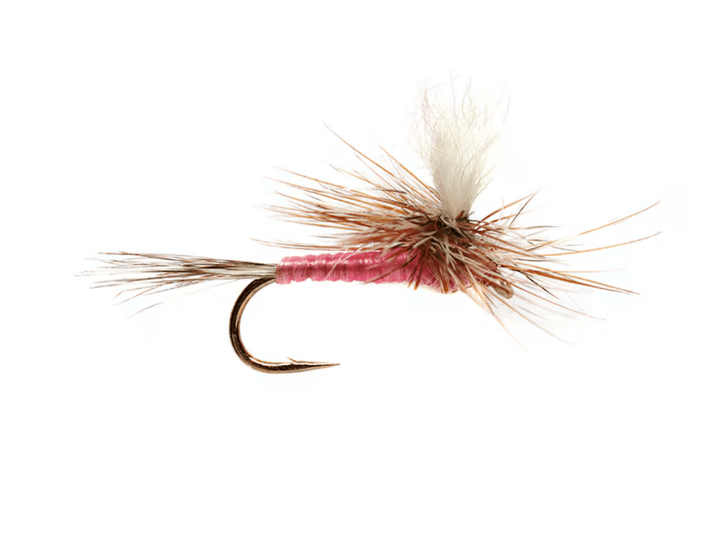 Pink Parachute Adams - Flies - Fly Fish Food