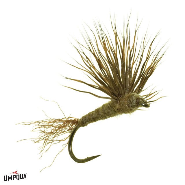 Sparkle Dun - Callibaetis - Flies - Fly Fish Food