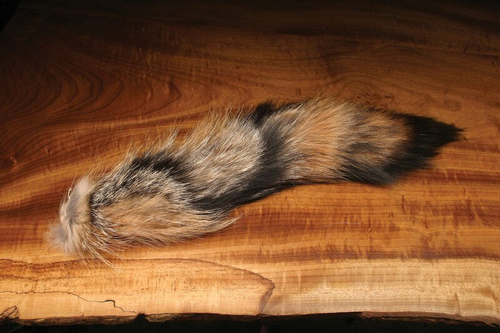 Complete Coyote Tail - Hair &amp; Fur - Fly Fish Food