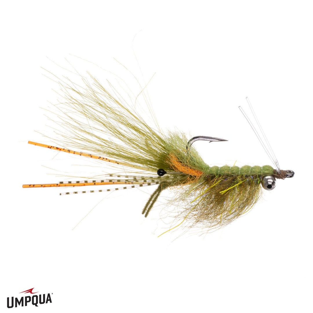 Truffle Pig Mantis Shrimp Bead Chain Eye - Olive - Flies - Fly Fish Food