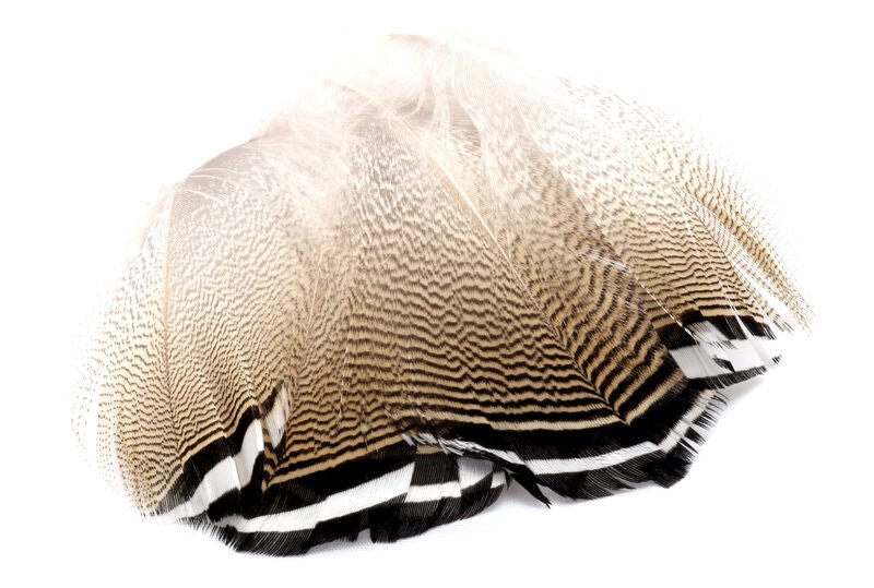Woodduck Feathers Black Barred - Feathers &amp; Marabou - Fly Fish Food