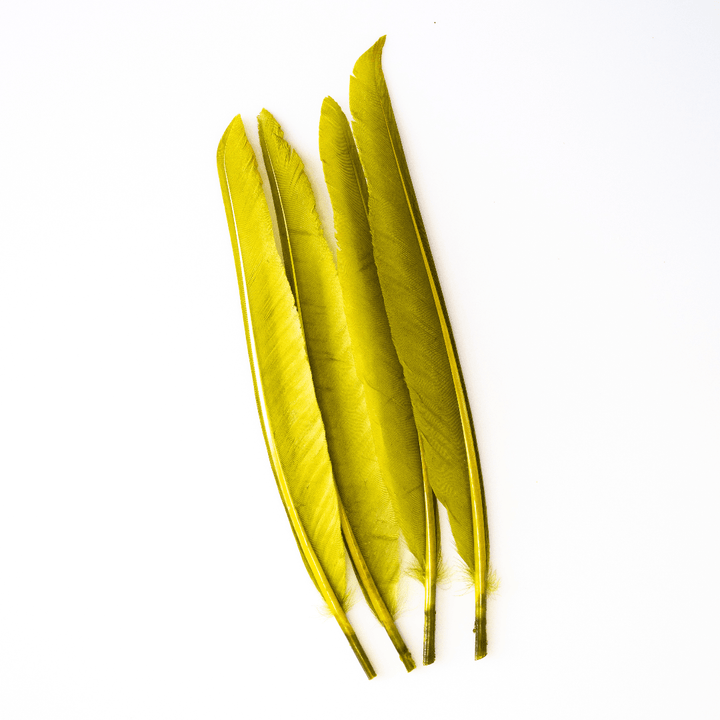 Wapsi - Duck Quill - 2 Pair - Feathers &amp; Marabou - Fly Fish Food