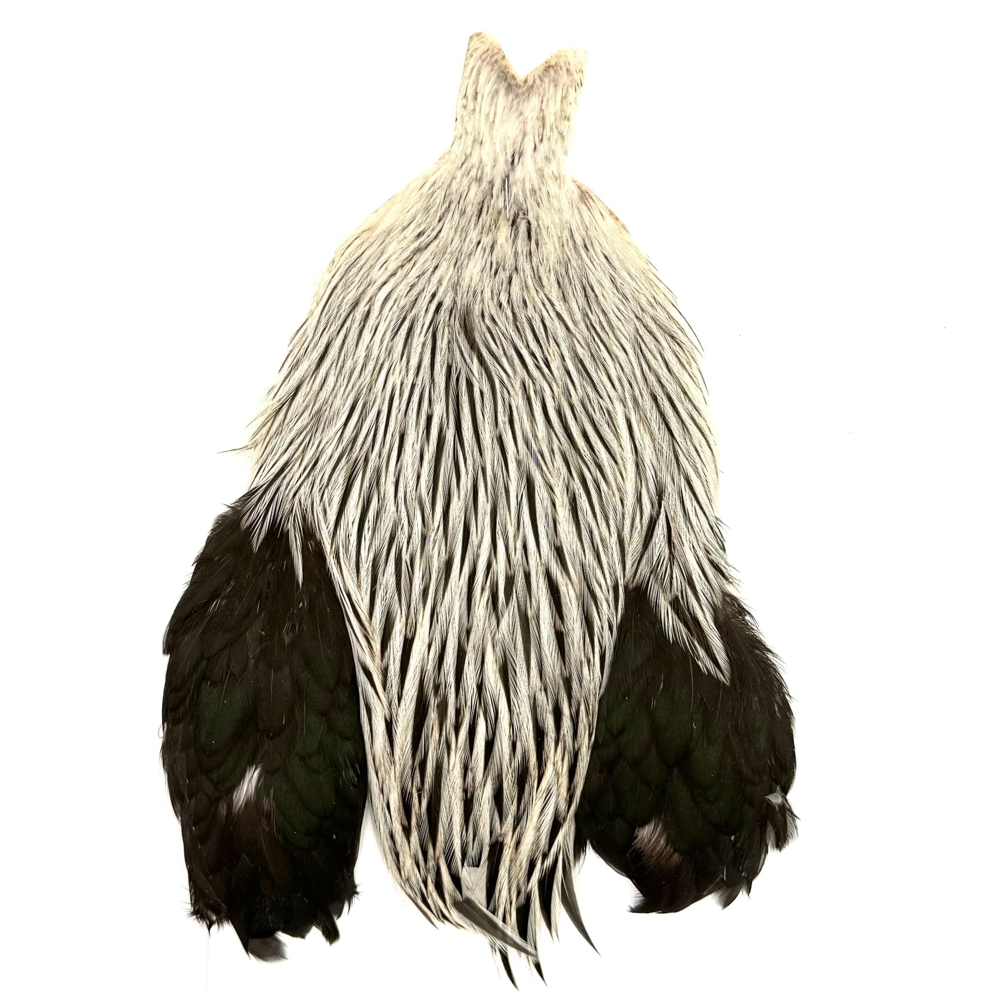 Whiting Brahma Rooster Cape - Hackle - Fly Fish Food
