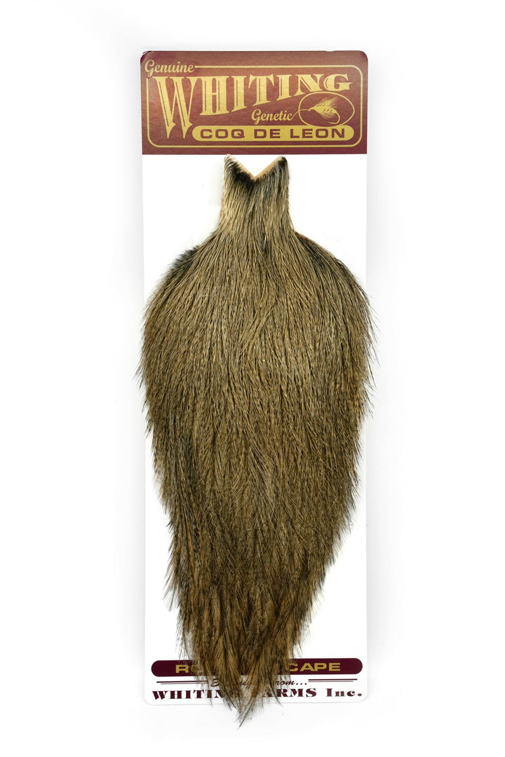 Coq de Leon Cape
