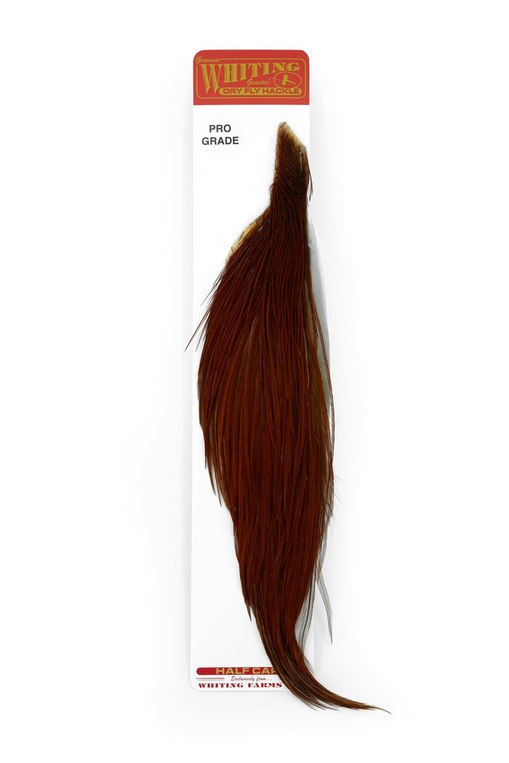 Whiting Pro Grade 1/2 Cape - Hackle - Fly Fish Food
