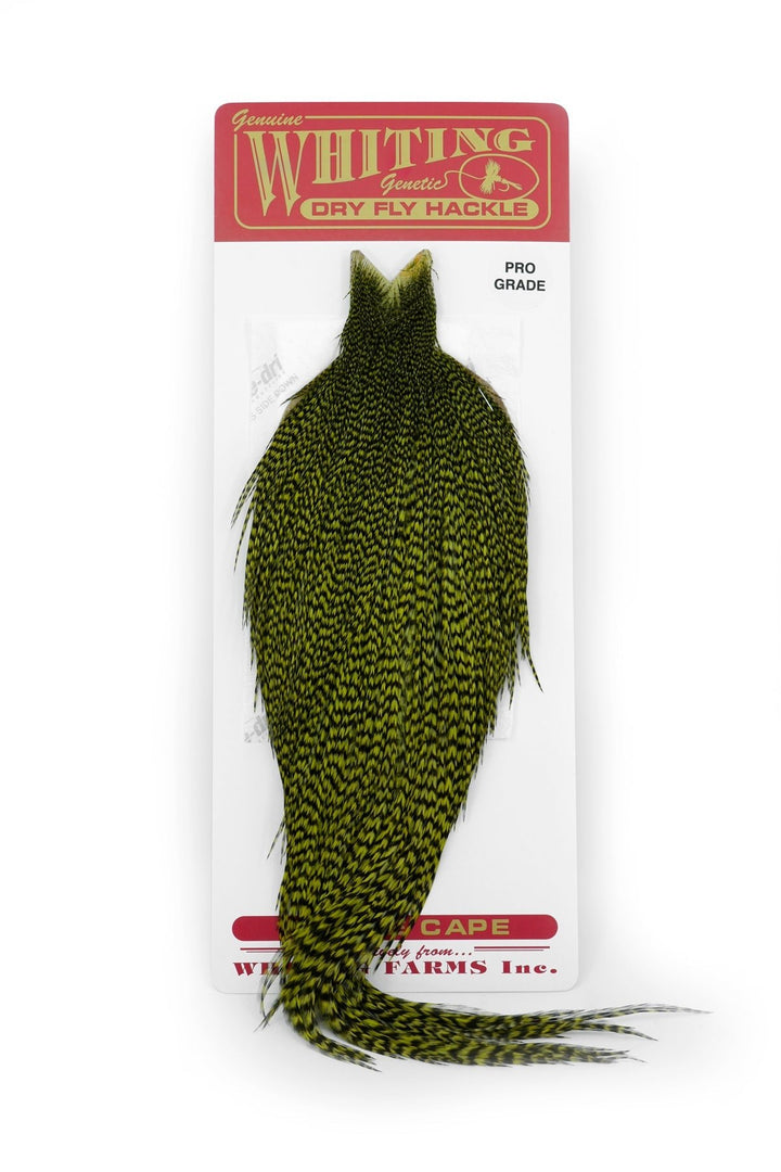 Whiting Pro Grade Cape - Hackle - Fly Fish Food