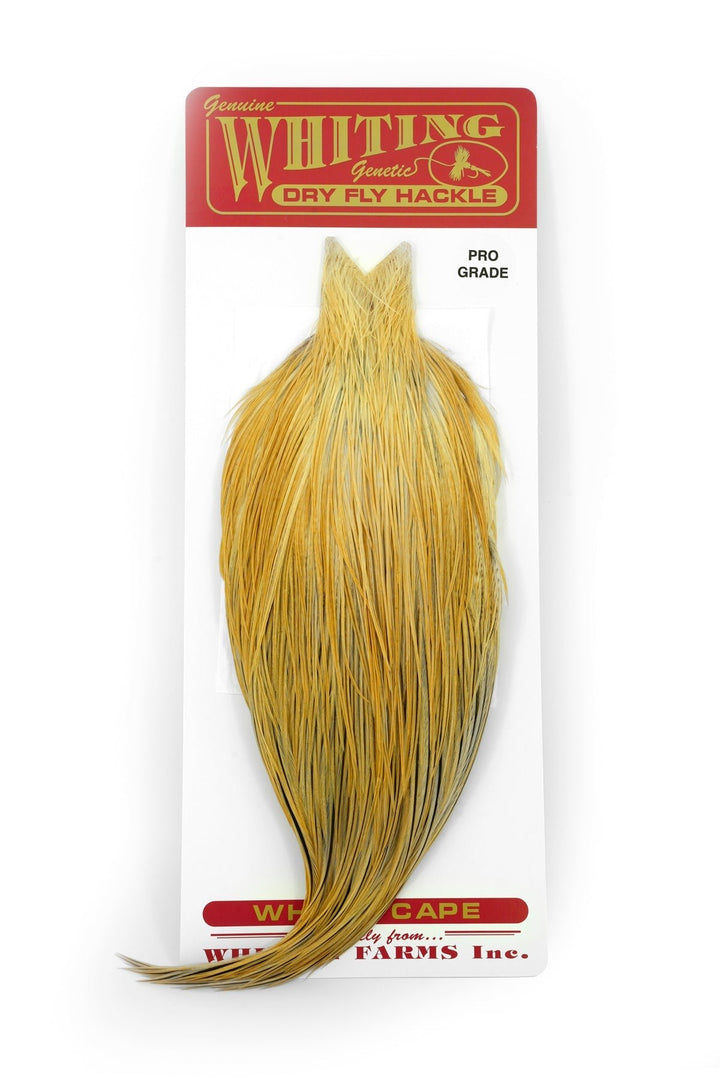 Whiting Pro Grade Cape - Hackle - Fly Fish Food