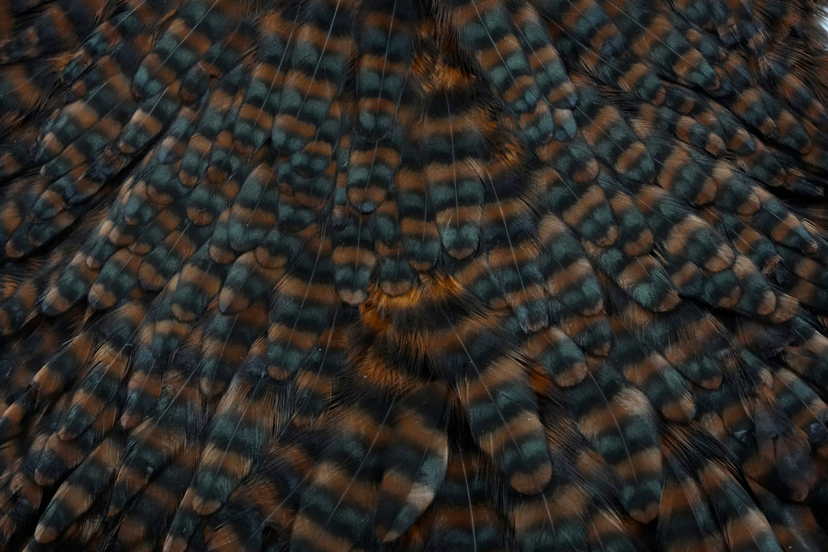 Whiting Hen Saddle
