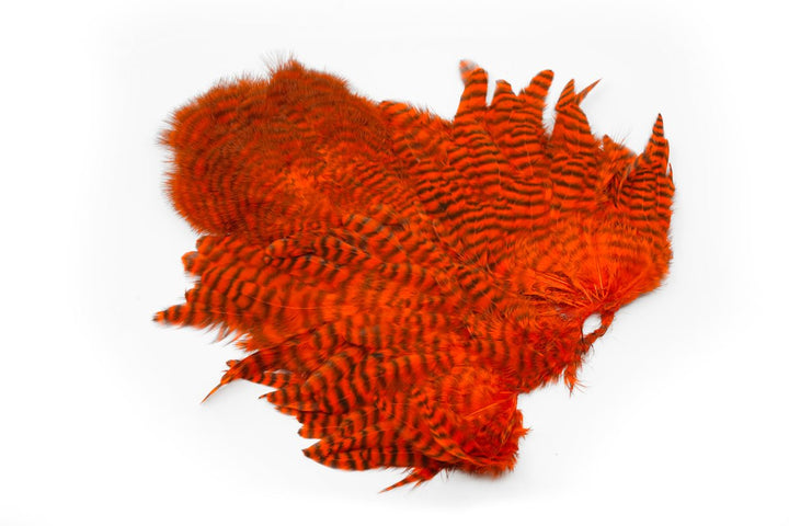 Whiting Rooster Soft Hackle with Chickabou - Hackle - Fly Fish Food