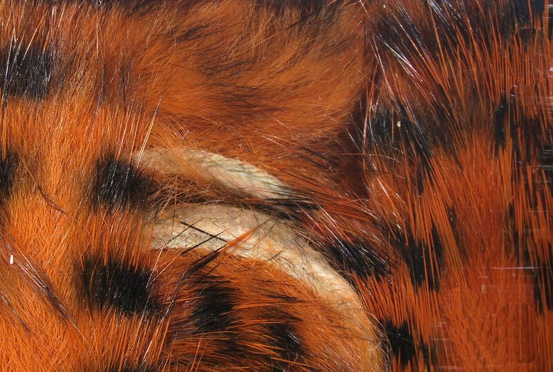 Black Barred Rabbit Strips - Hair & Fur - Fly Fish Food