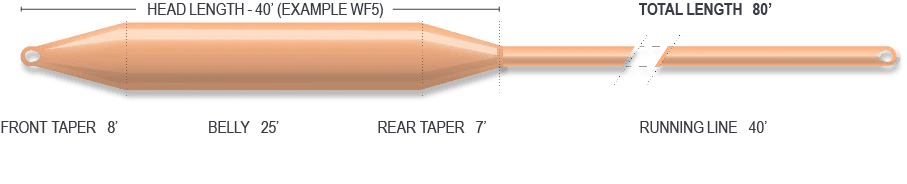 Airflo Cast - Performance Taper - Fly Lines - Fly Fish Food