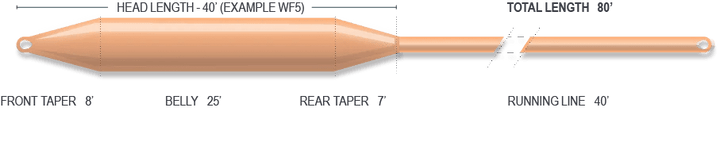 Airflo Cast - Performance Taper - Fly Lines - Fly Fish Food