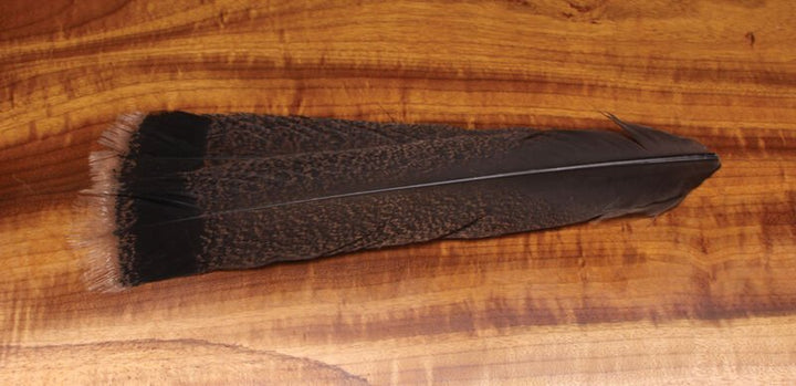 Cinnamon Tip Turkey Tail Feathers - Feathers &amp; Marabou - Fly Fish Food