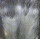 Polar Fiber Streamer Brush - Synthetic Fibers &amp; Flash - Fly Fish Food
