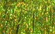 Flashabou Magnum - Synthetic Fibers &amp; Flash - Fly Fish Food