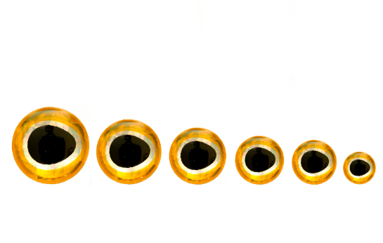 Fulling Mill Epoxy Baitfish Eye - Eyes - Fly Fish Food