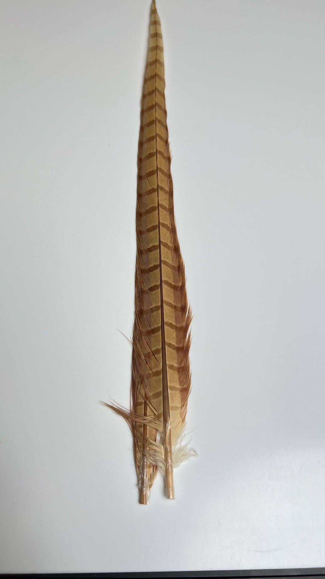 Pheasant Tail Center Pairs - Feathers &amp; Marabou - Fly Fish Food