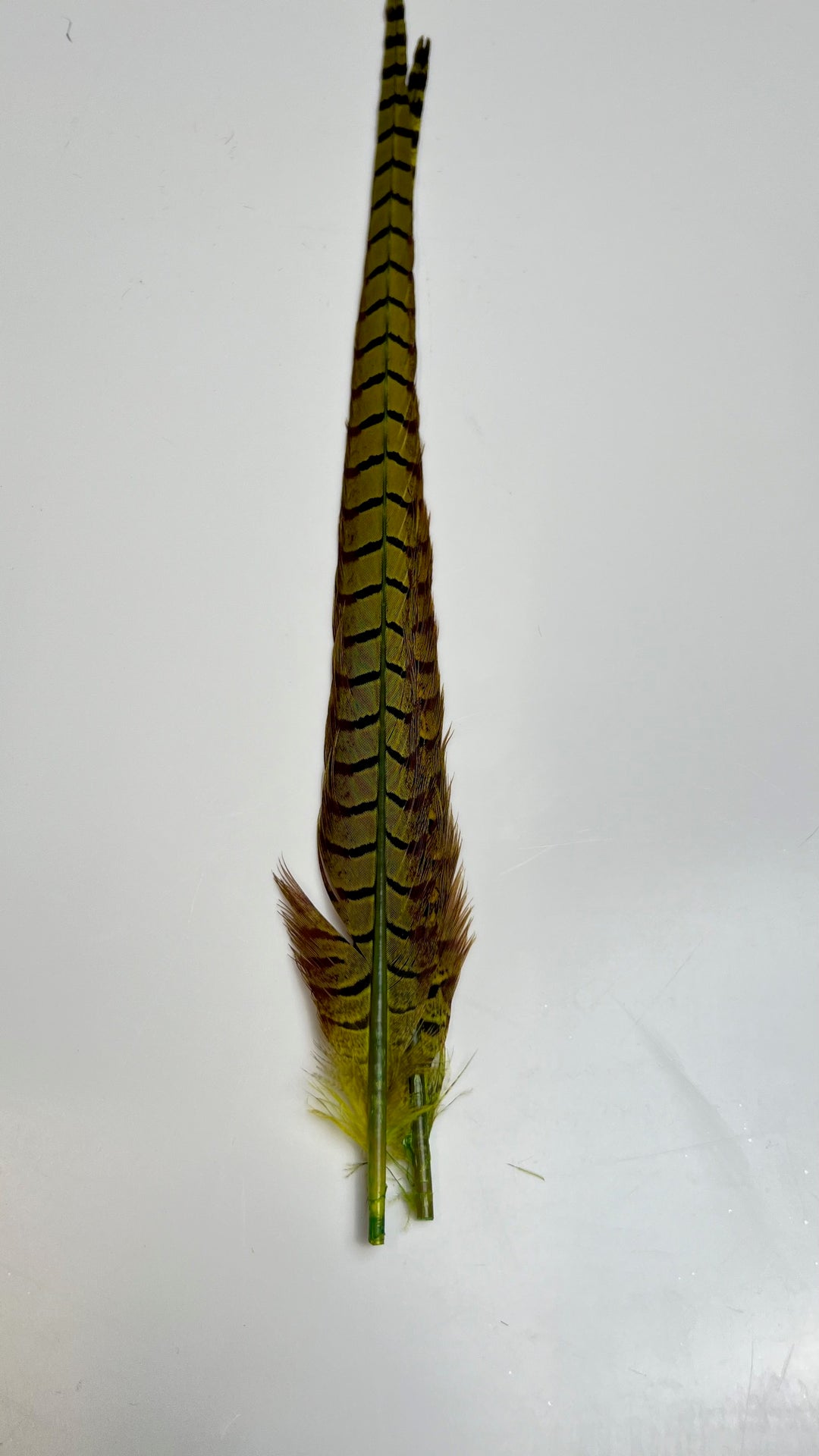 Pheasant Tail Center Pairs - Feathers &amp; Marabou - Fly Fish Food