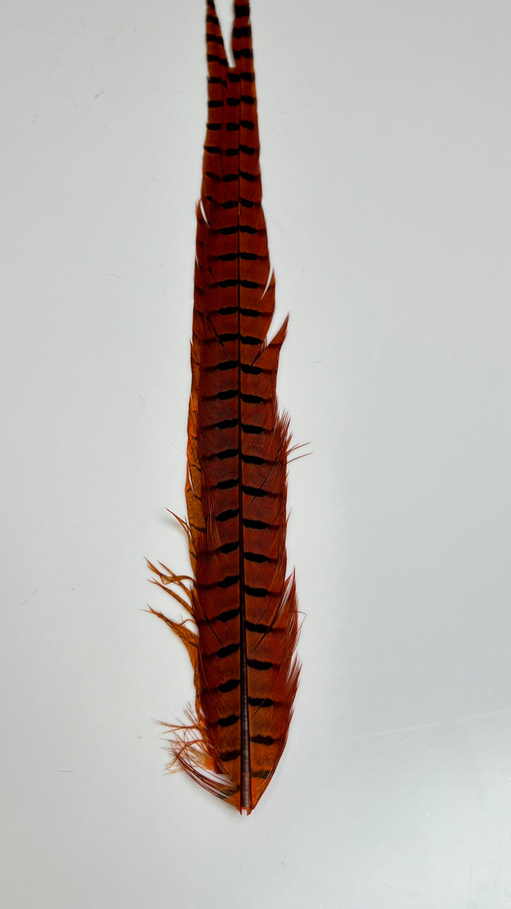 Pheasant Tail Center Pairs - Feathers &amp; Marabou - Fly Fish Food