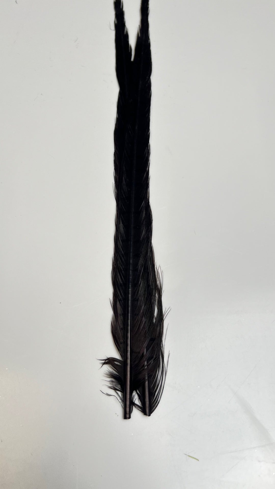 Pheasant Tail Center Pairs - Feathers &amp; Marabou - Fly Fish Food