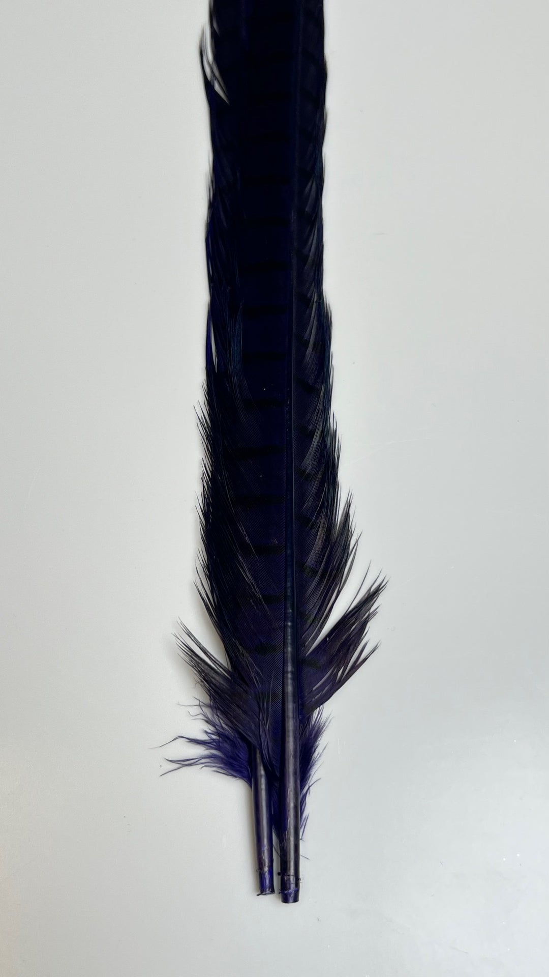 Pheasant Tail Center Pairs - Feathers &amp; Marabou - Fly Fish Food