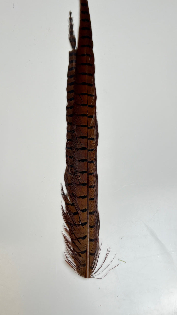 Pheasant Tail Center Pairs - Feathers &amp; Marabou - Fly Fish Food