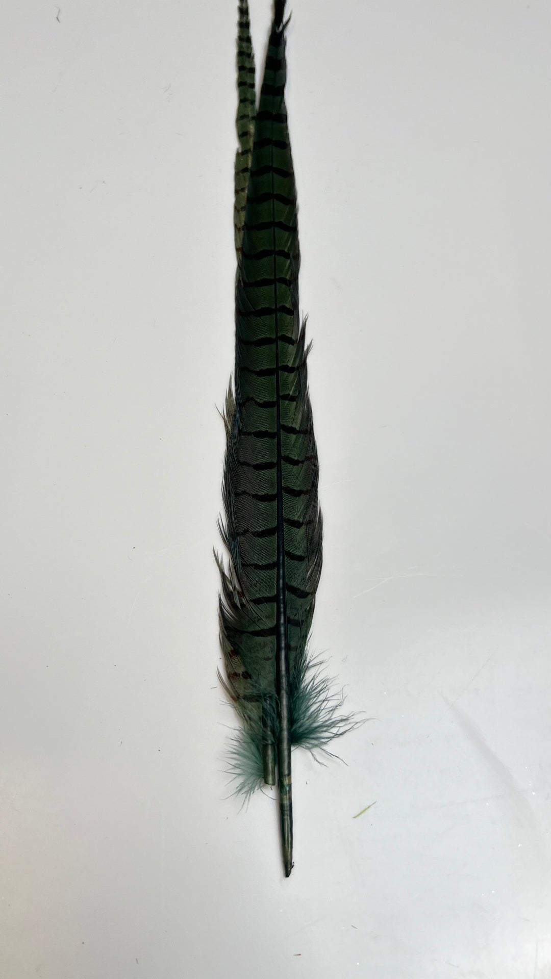 Pheasant Tail Center Pairs - Feathers &amp; Marabou - Fly Fish Food