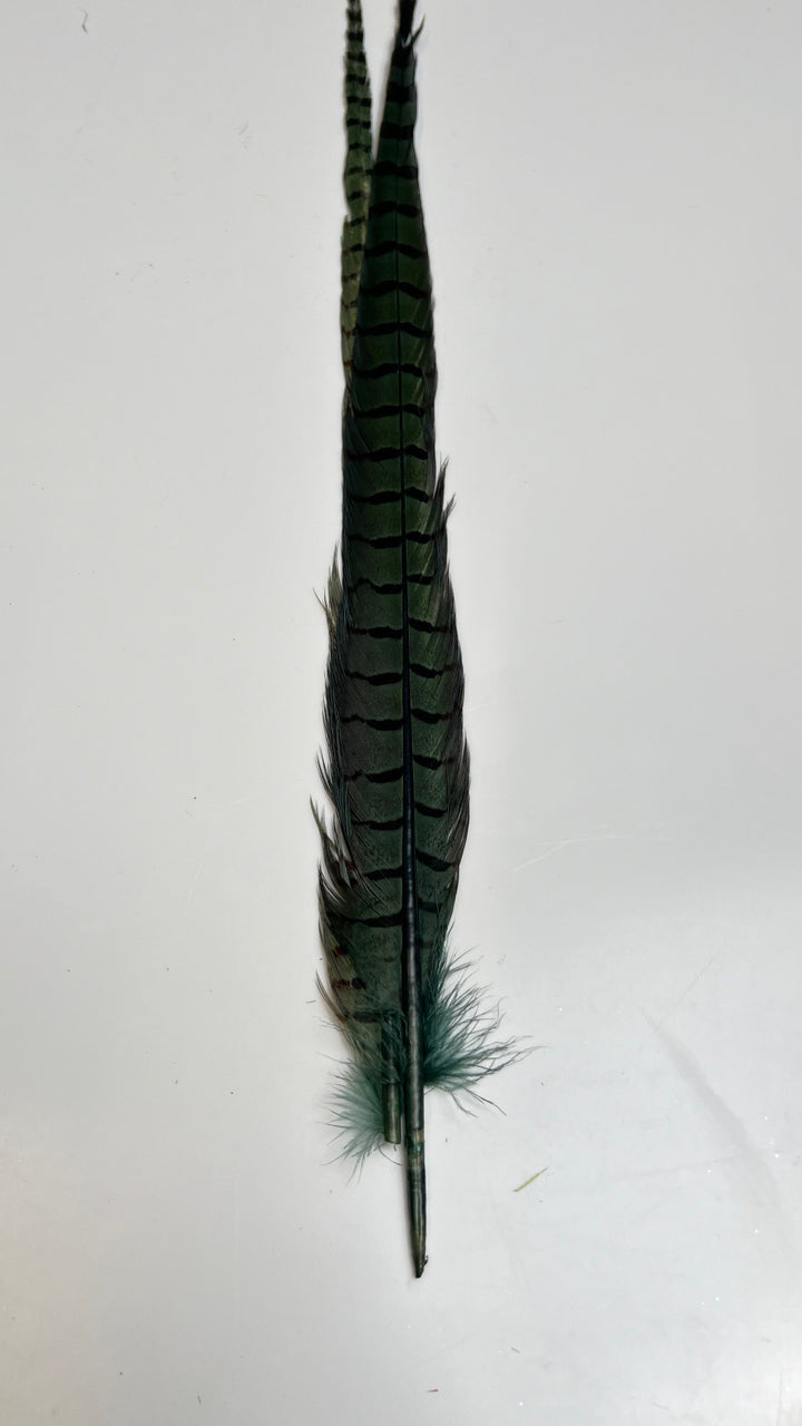 Pheasant Tail Center Pairs - Feathers &amp; Marabou - Fly Fish Food