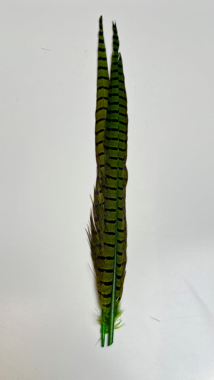 Pheasant Tail Center Pairs - Feathers &amp; Marabou - Fly Fish Food